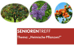 aa_Einladung_Seniorentreff_August_2017.jpg