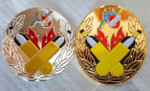 aa_Gold_u_Silber_FF_Trasdorf.jpg