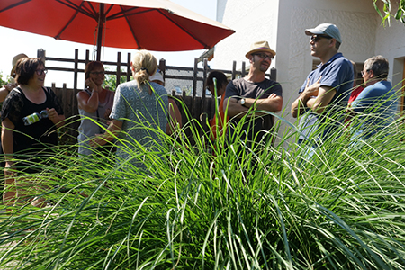aa_gartenvariationen-03.jpg
